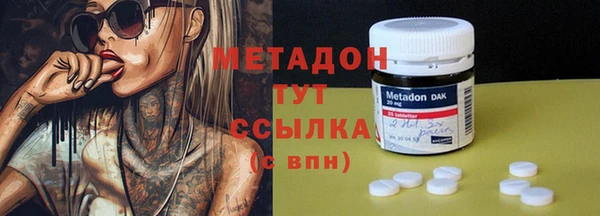 индика Аркадак