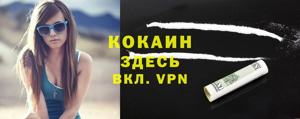 индика Аркадак