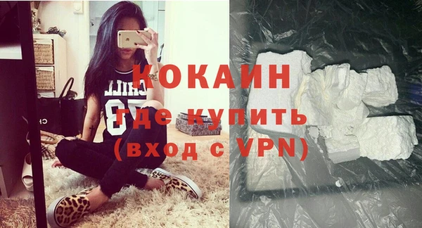 индика Аркадак