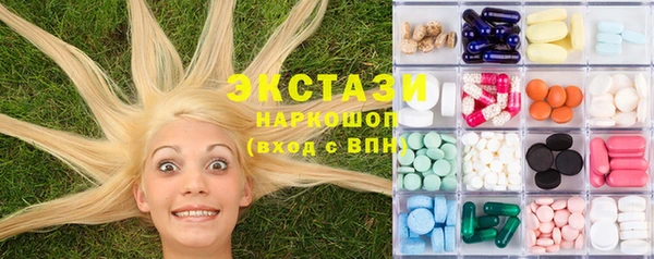 индика Аркадак