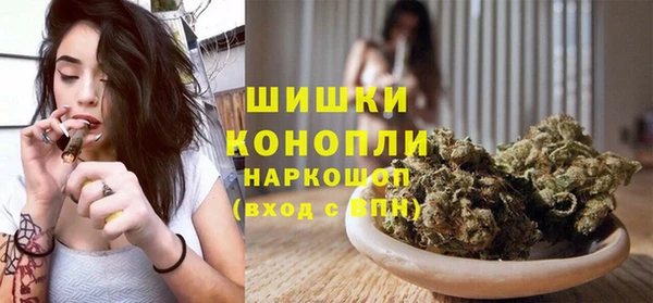 индика Аркадак