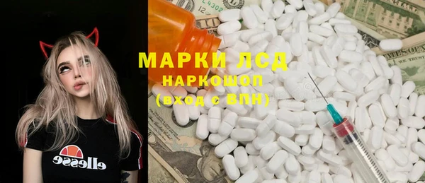 индика Аркадак