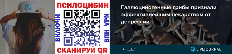 Галлюциногенные грибы Psilocybine cubensis  KRAKEN онион  Судогда 
