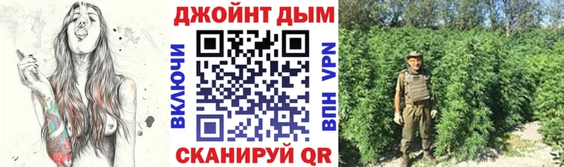 Каннабис OG Kush  Судогда 